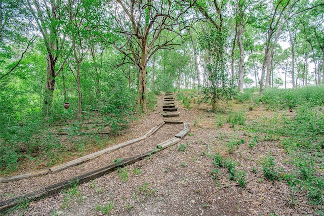 901 Hartrick Canyon Dr, Temple, TX 76502 - view of yard