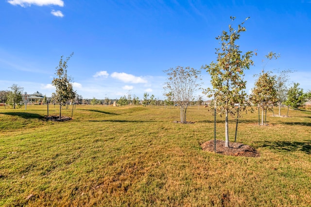 15846 Berry Hill Dr, Conroe, TX 77303 - view of grassy yard