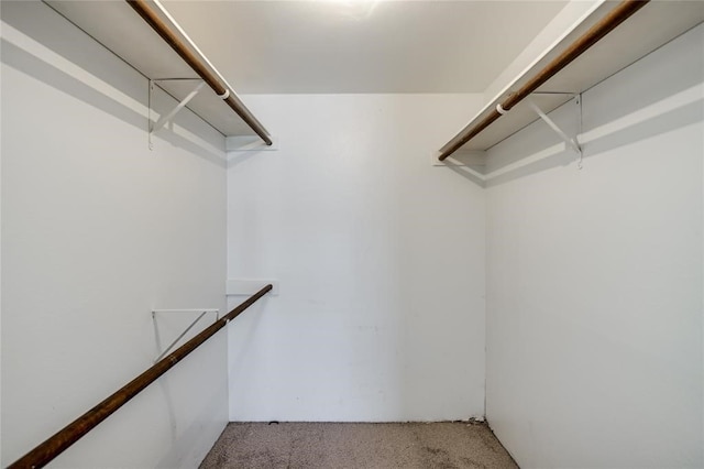 8787 Brae Acres Rd Unit 403, Houston, TX 77074 - spacious closet featuring light colored carpet