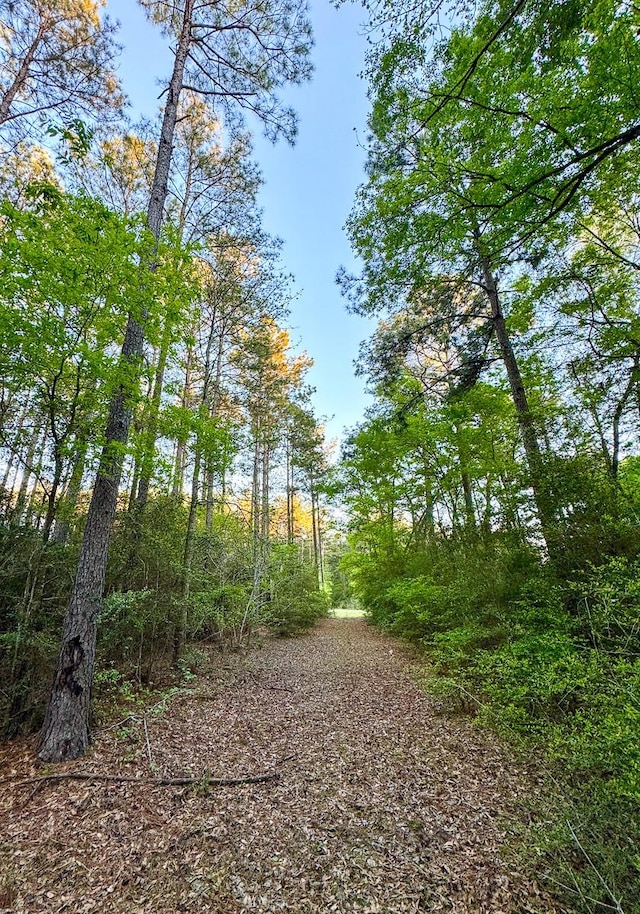 00 Copperleaf Rd, Huntsville, TX 77340