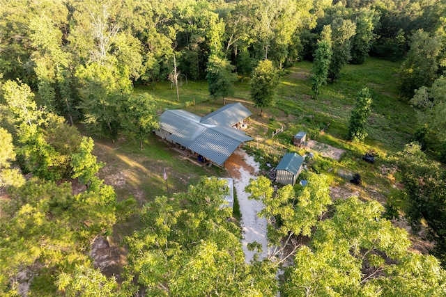 5332 County Road 1180, Kennard, TX 75847 - view of property location featuring a heavily wooded area