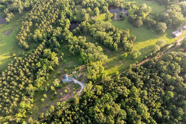 5332 County Road 1180, Kennard, TX 75847 - aerial view of property's location