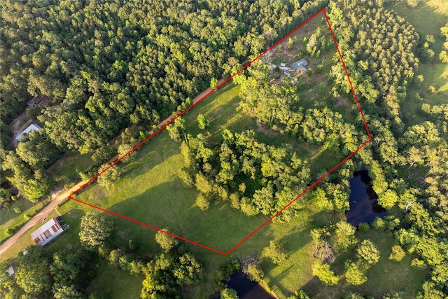 5332 County Road 1180, Kennard, TX 75847 - view of property location with property boundaries highlighted