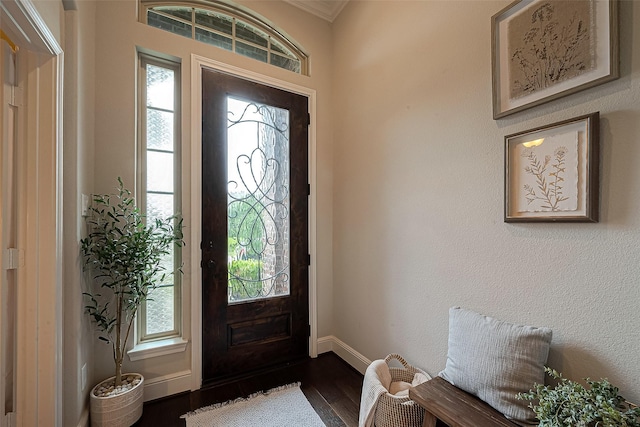2625 Blooming Field Ln, Conroe, TX 77385 - entryway featuring dark wood-type flooring, baseboards, plenty of natural light, and ornamental molding