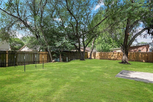 6639 Feather Creek Dr, Houston, TX 77086 - view of yard