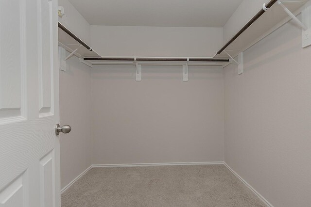 309 Cumberland Forest Dr, Magnolia, TX 77354 - spacious closet with carpet