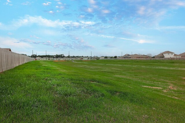 309 Cumberland Forest Dr, Magnolia, TX 77354 - view of yard