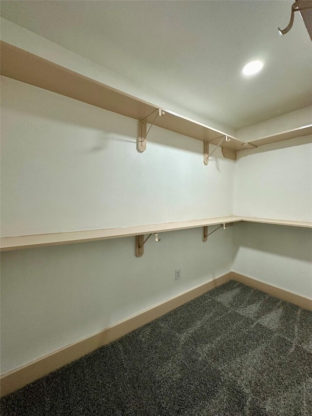 4613 Dewberry St, Houston, TX 77021 - spacious closet featuring dark colored carpet