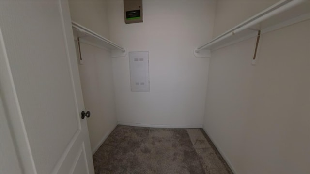 4322 Mossy Banks Ln, Houston, TX 77068 - spacious closet with light carpet