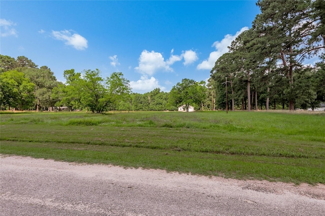 LOT14 Hermitage St, Trinity, TX 75862