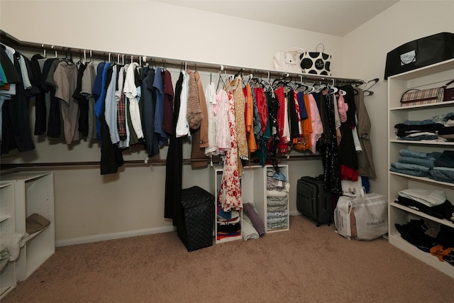 3314 Tall Sycamore Trl, Katy, TX 77493 - walk in closet featuring carpet flooring