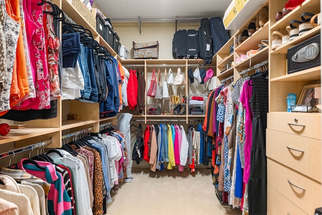 212 Salmon Creek Ln, Friendswood, TX 77546 - walk in closet with carpet