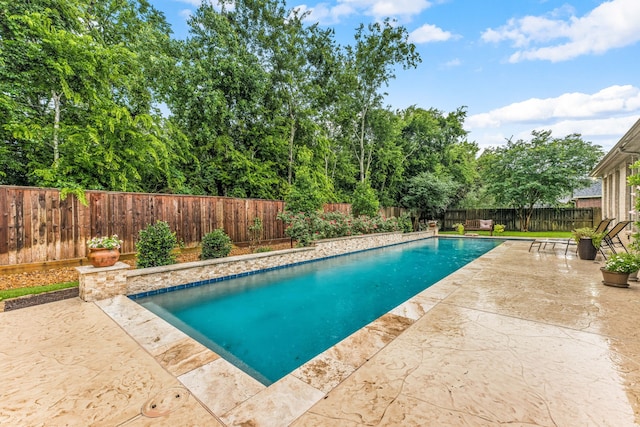 212 Salmon Creek Ln, Friendswood, TX 77546 - view of swimming pool with a patio and a fenced backyard