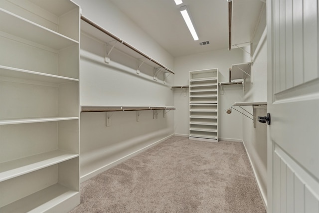 109 Pepper Grass Pl, Montgomery, TX 77316 - spacious closet with carpet floors