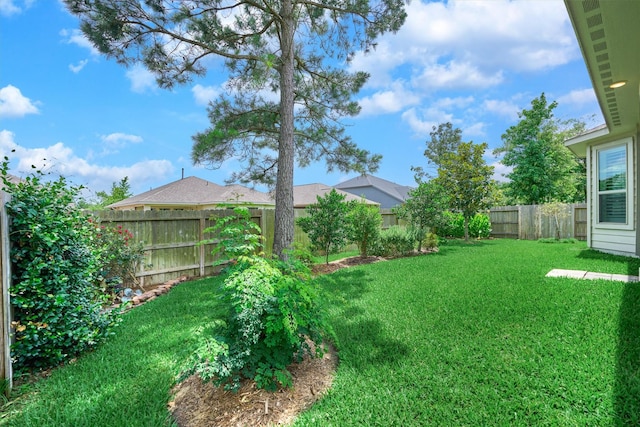 109 Pepper Grass Pl, Montgomery, TX 77316 - view of yard