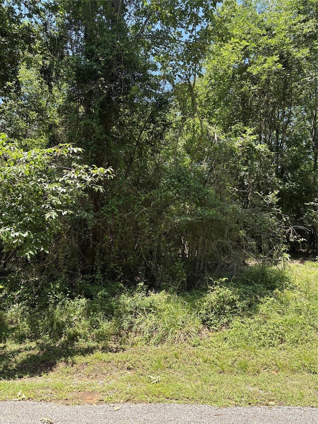 TBD Lake Dr, Onalaska, TX 77360