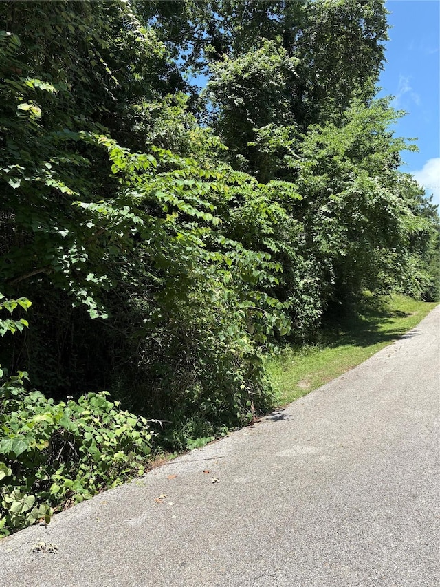 TBD Lake Dr, Onalaska, TX 77360