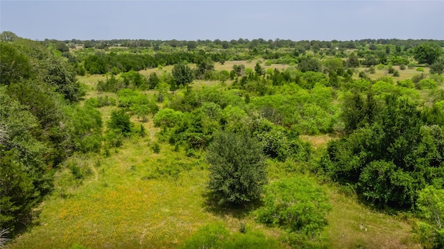 0 Branecky Rd, Flatonia, TX 78941