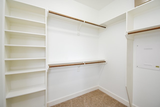 321 W 26th St Unit A, Houston, TX 77008 - walk in closet with carpet floors