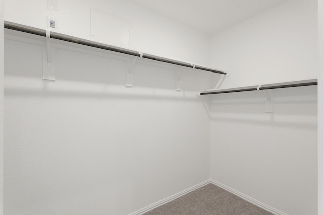 7919 Chantilly Mnr, Fulshear, TX 77441 - walk in closet with carpet flooring