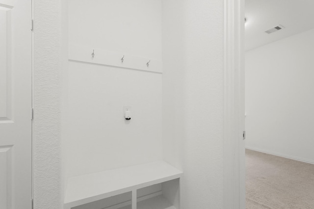 7919 Chantilly Mnr, Fulshear, TX 77441 - mudroom featuring carpet flooring