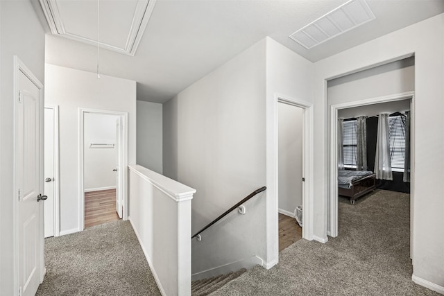 3919 Faletti Dr, Katy, TX 77493 - corridor with an upstairs landing, attic access, carpet floors, and baseboards