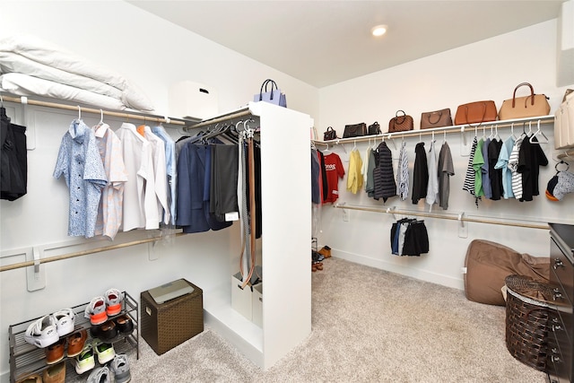 22911 Pearl Glen Dr, Richmond, TX 77469 - spacious closet with carpet floors