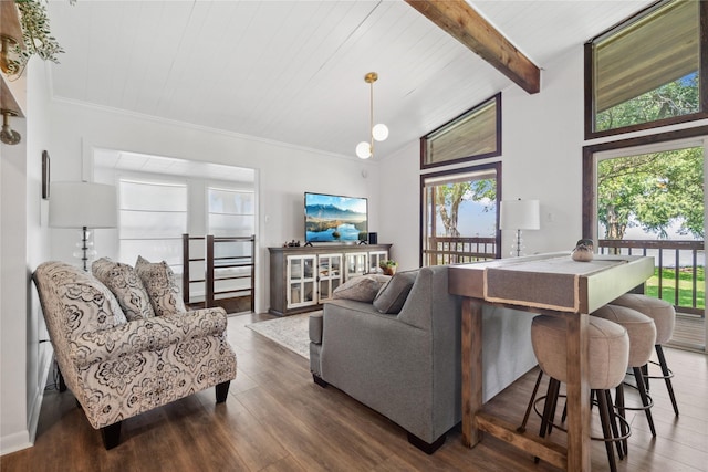 480 Johnson Rd, Coldspring, TX 77331 - living area featuring wood finished floors and crown molding