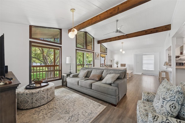 480 Johnson Rd, Coldspring, TX 77331 - living area with dark wood-style floors and ceiling fan
