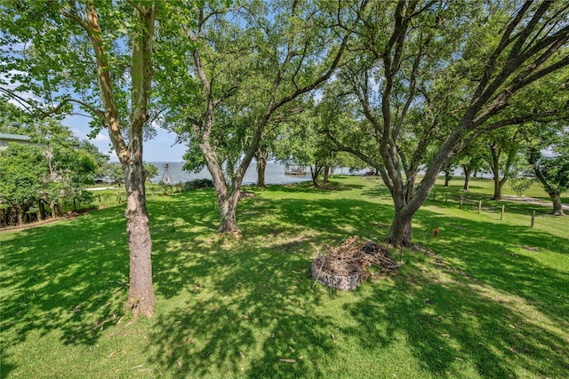480 Johnson Rd, Coldspring, TX 77331 - view of yard with a water view