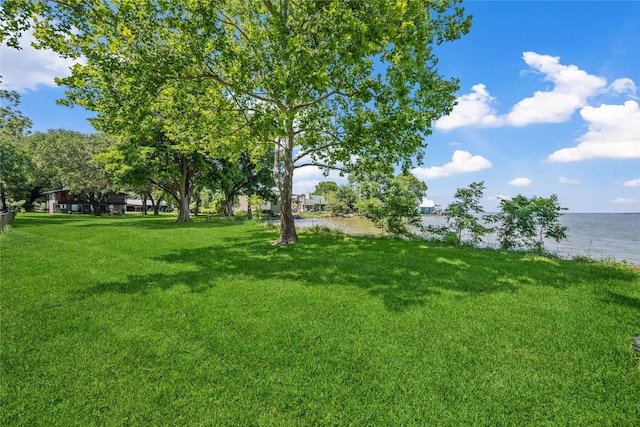 480 Johnson Rd, Coldspring, TX 77331 - view of green lawn featuring a water view
