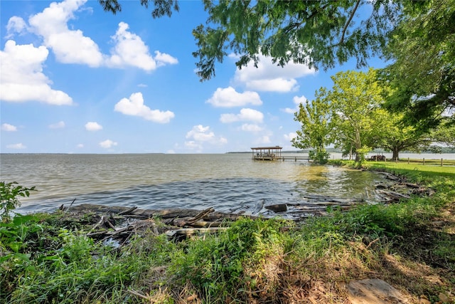 480 Johnson Rd, Coldspring, TX 77331 - water view