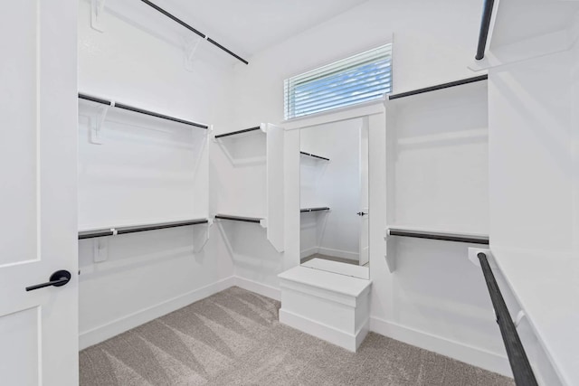 12834 Forest Garden Ct, Conroe, TX 77302 - spacious closet with carpet floors
