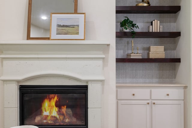4051 Ashland Woods Dr, Spring, TX 77386 - detailed view of a glass covered fireplace