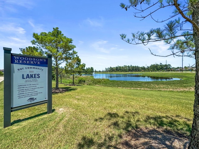 4051 Ashland Woods Dr, Spring, TX 77386 - view of property's community with a water view and a lawn