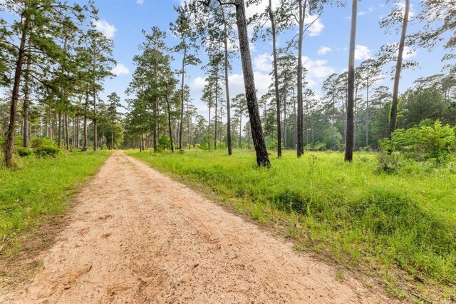 516 Clinton St A-B, Unit A-B Conroe, TX 77301 - photo 43