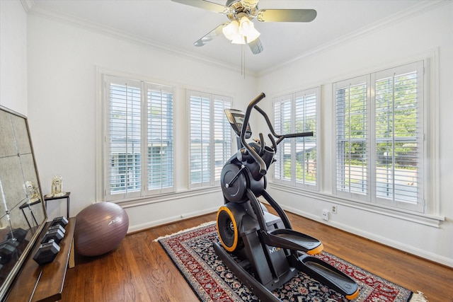 2256 Dryden Rd, Houston, TX 77030 - exercise area with wood finished floors, a ceiling fan, baseboards, and crown molding