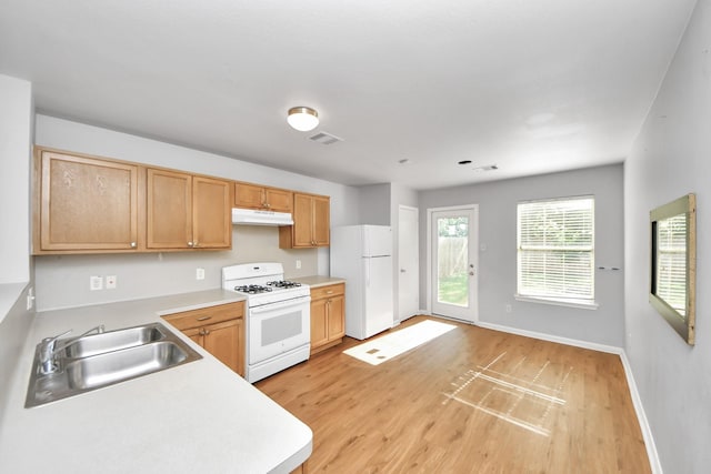 12047 Madison Oak St, Houston, TX 77038 - kitchen with white appliances, under cabinet range hood, a sink, light wood-style floors, and light countertops
