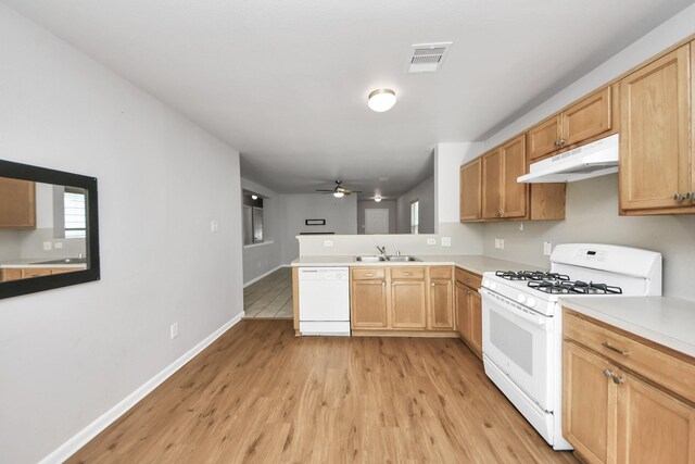 12047 Madison Oak St, Houston, TX 77038 - kitchen featuring white appliances, under cabinet range hood, a sink, light wood-style floors, and light countertops