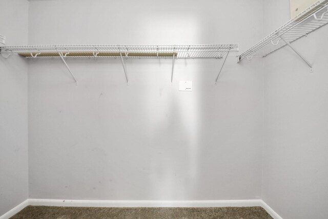 12047 Madison Oak St, Houston, TX 77038 - walk in closet featuring dark colored carpet
