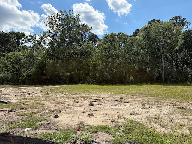752 Westpointe Dr, Dayton, TX 77535 - view of woods