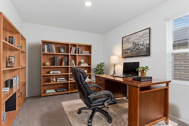 30114 Ousel Falls Ln, Fulshear, TX 77494 - office area featuring carpet and baseboards