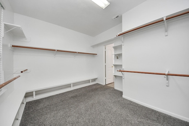 1605 Spring Glen Ln, Pearland, TX 77581 - spacious closet with carpet floors