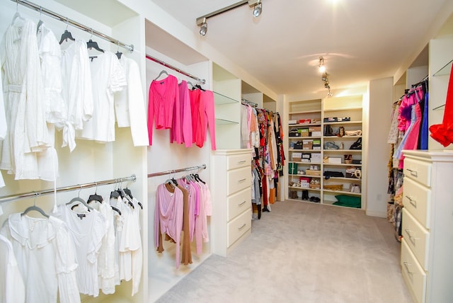 4220 Law St, Houston, TX 77005 - spacious closet with light colored carpet