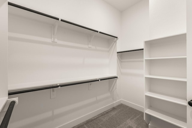 17051 Lilac Paxton Ln, Hockley, TX 77447 - spacious closet featuring dark colored carpet