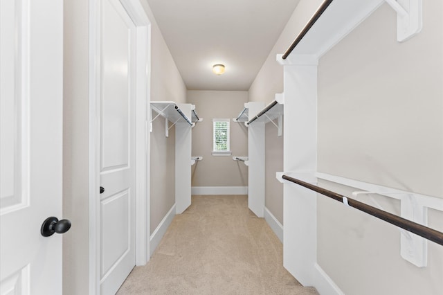 10115 Cypress Path, Missouri City, TX 77459 - walk in closet with light colored carpet