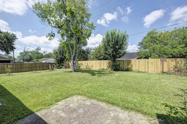 3826 Brier Gardens Dr, Houston, TX 77082 - view of yard