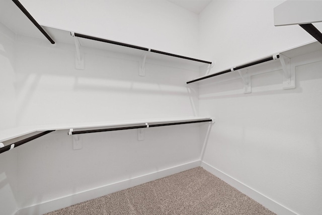 17055 Lilac Paxton Ln, Hockley, TX 77447 - walk in closet featuring carpet flooring
