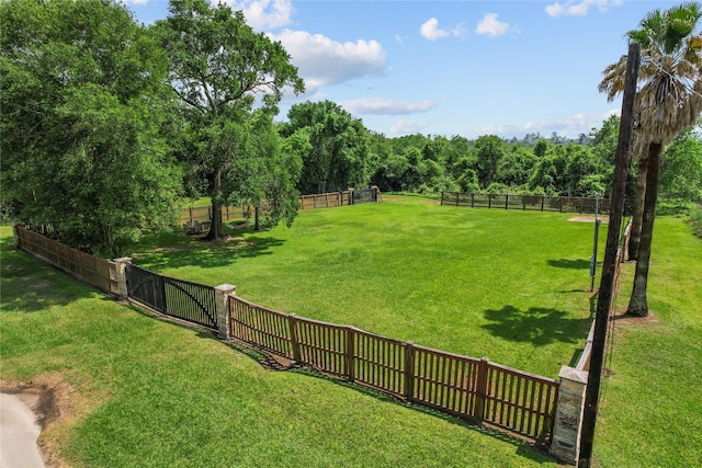 20326 Rio Villa Dr, Houston, TX 77049 - photo 10