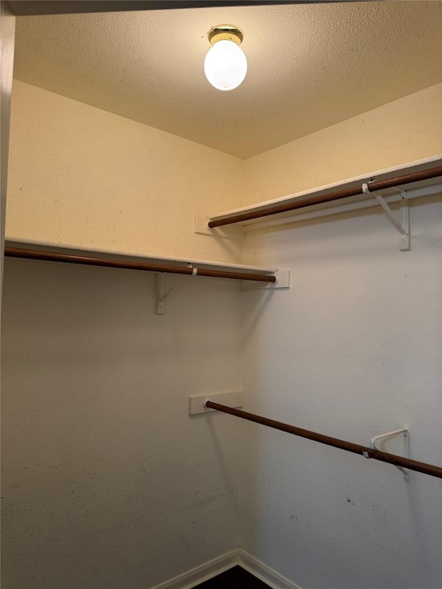 7340 Muffin Dr, Austin, TX 78724 - view of spacious closet